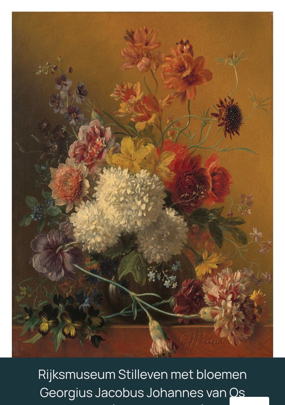 Behang Rijksmuseum stilleven met bloemen, Bloemen, Meerkleurig, Ophalen of Verzenden, Vliesbehang