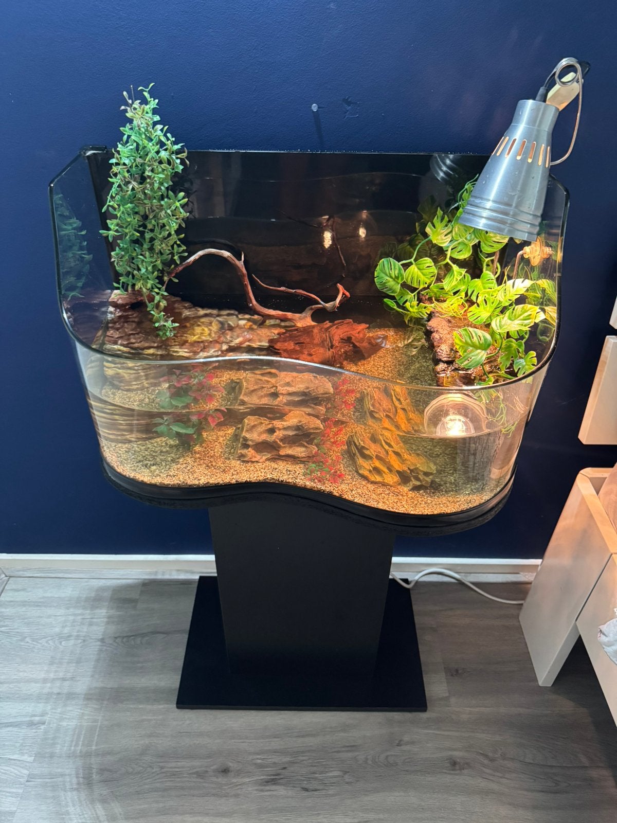 Schildpad verblijf, Dieren en Toebehoren, Ophalen of Verzenden, Zo goed als nieuw, Terrarium of Paludarium