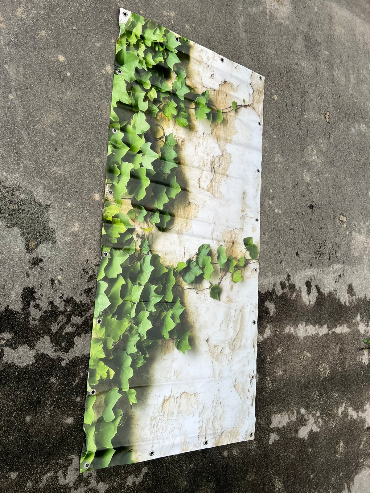 Tuinposter hedera muur xl 200 x 90! €15,-, Ophalen, Nieuw