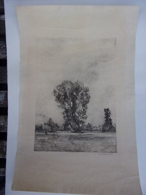 Gerretsen, Huub - Landschap met bomen, Origineel, 30 cm, Ets, Ophalen of Verzenden