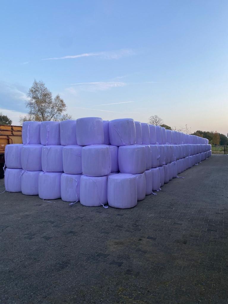 Midi balen, Dieren en Toebehoren, Dierenvoeding, Ophalen, Vee