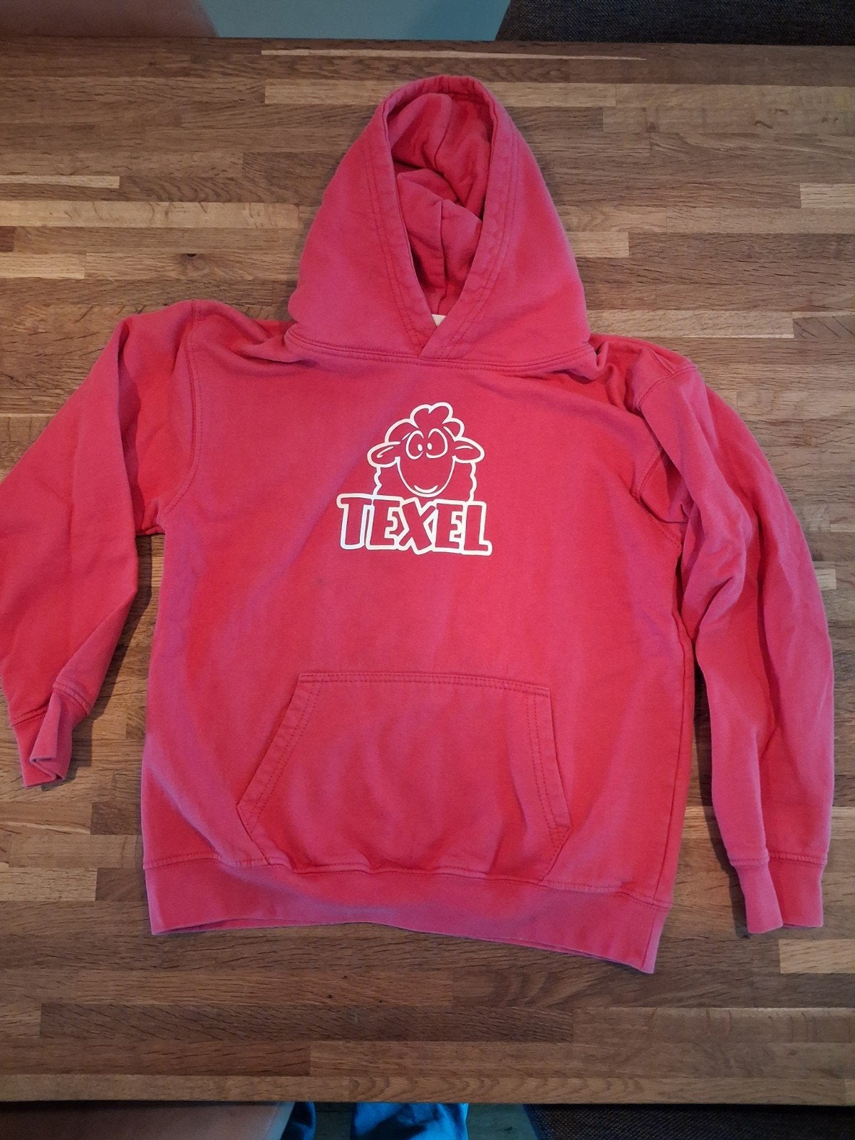 Gratis roze Texel hoodie trui met lange mouwen maat 146, Ophalen, Gebruikt, Trui of Vest