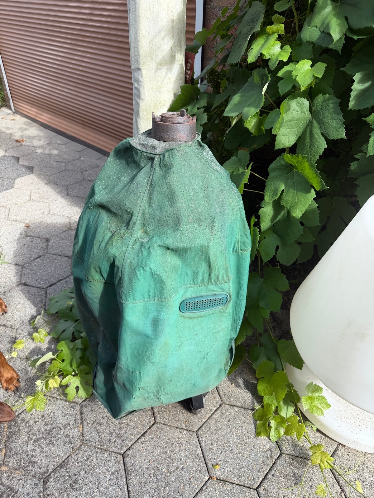 Green Egg Small met pizzasteen, Ophalen, Gebruikt