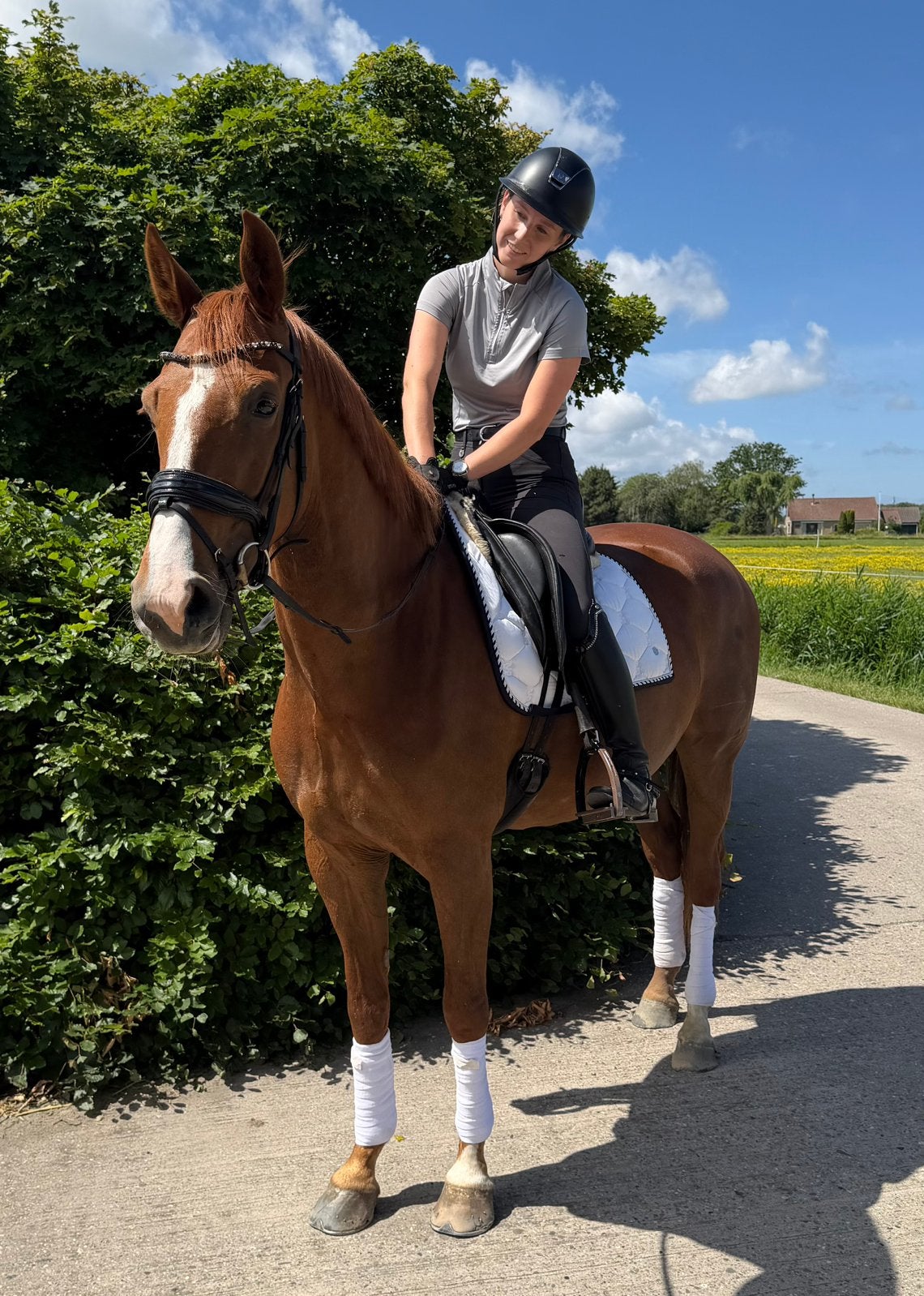 Veelbelovende merrie, rechtstreeks van de fokker te koop, Dieren en Toebehoren, Merrie, Dressuurpaard, 3 tot 6 jaar, 165 tot 170 cm
