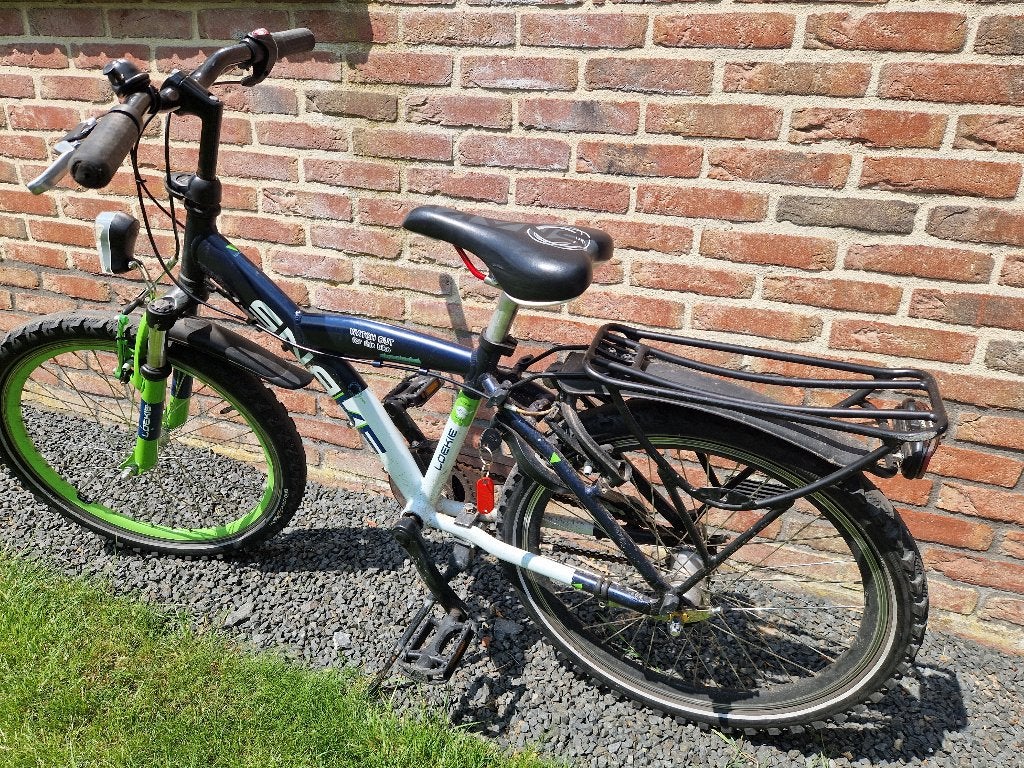 Snake Batavus 22 inch, Fietsen en Brommers, Fietsen | Jongens, Gebruikt, 22 inch, Handrem, Versnellingen, Terugtraprem, Ophalen
