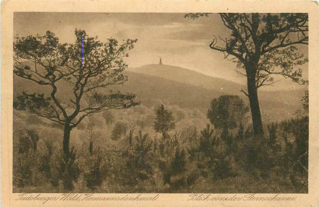 381-409-003 Teutoburger Wald, Verzenden, Voor 1920, Duitsland
