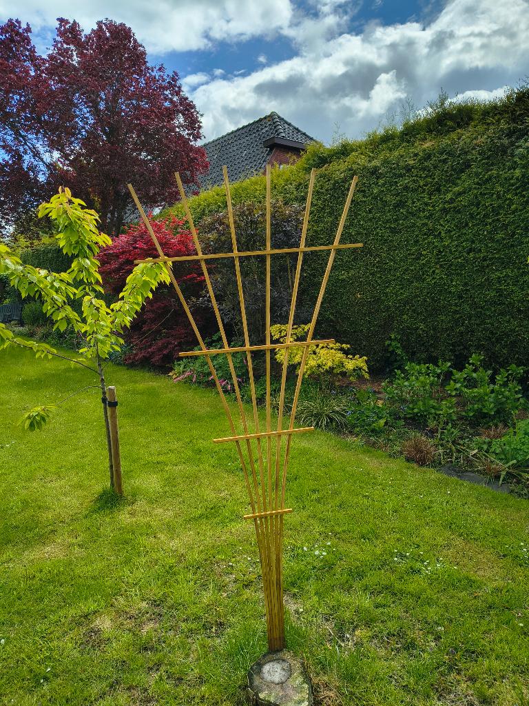 Handgemaakte Trellis klimplantrek hout, Ophalen, Nieuw, Balkon, 60 cm of meer