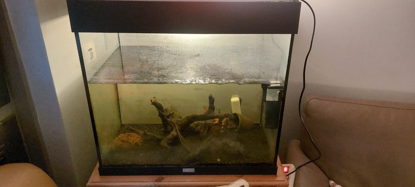 Aquarium met 2 clown botia vissen, Ophalen of Verzenden