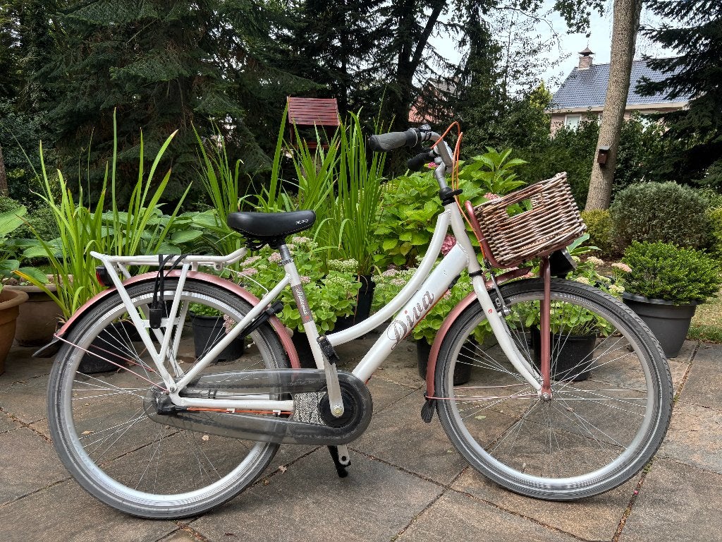 Meisjesfiets vanaf 9 jaar, stijlvol en comfortabel, Terugtraprem, Gebruikt, Versnellingen, Batavus