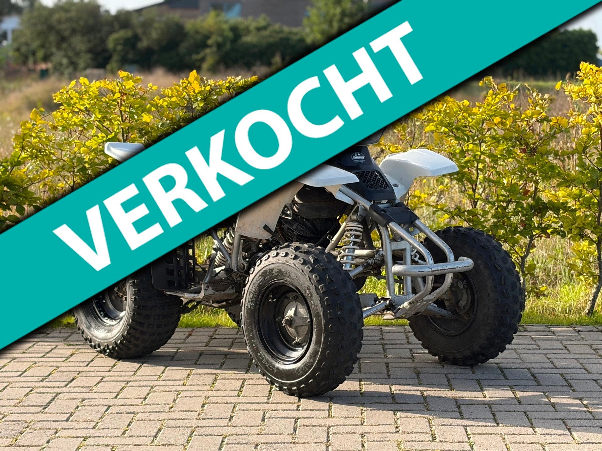 Yamaha Blaster 200 *nette staat*