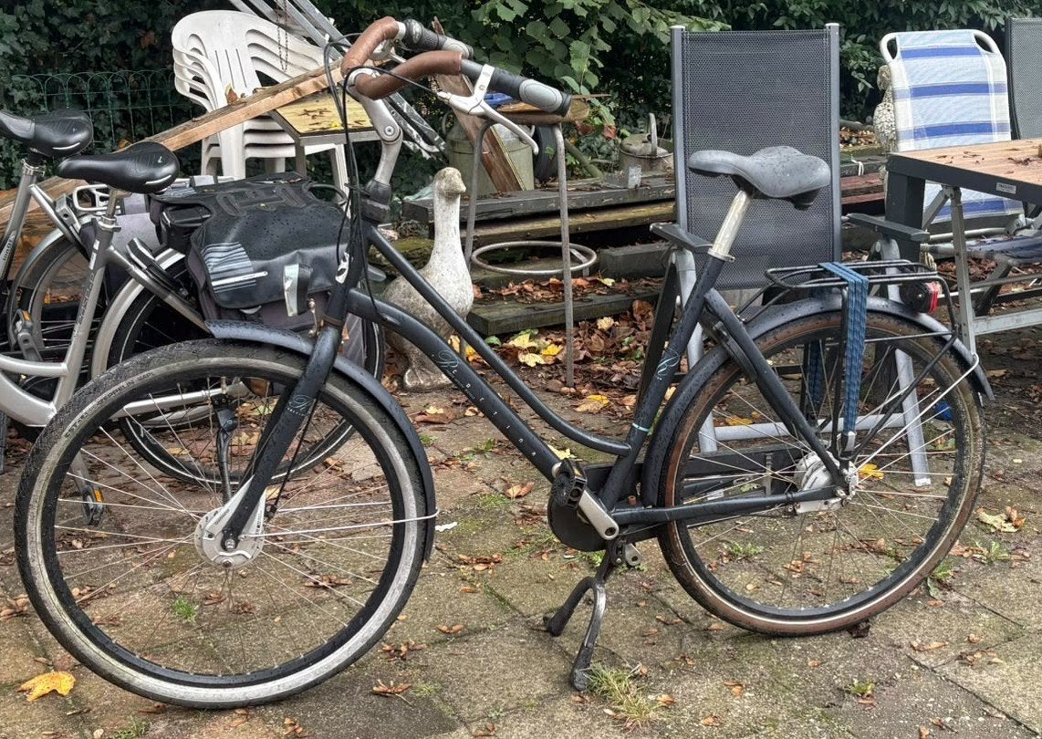 Damesfiets, Versnellingen, Trommelrem, Ophalen, Overige merken