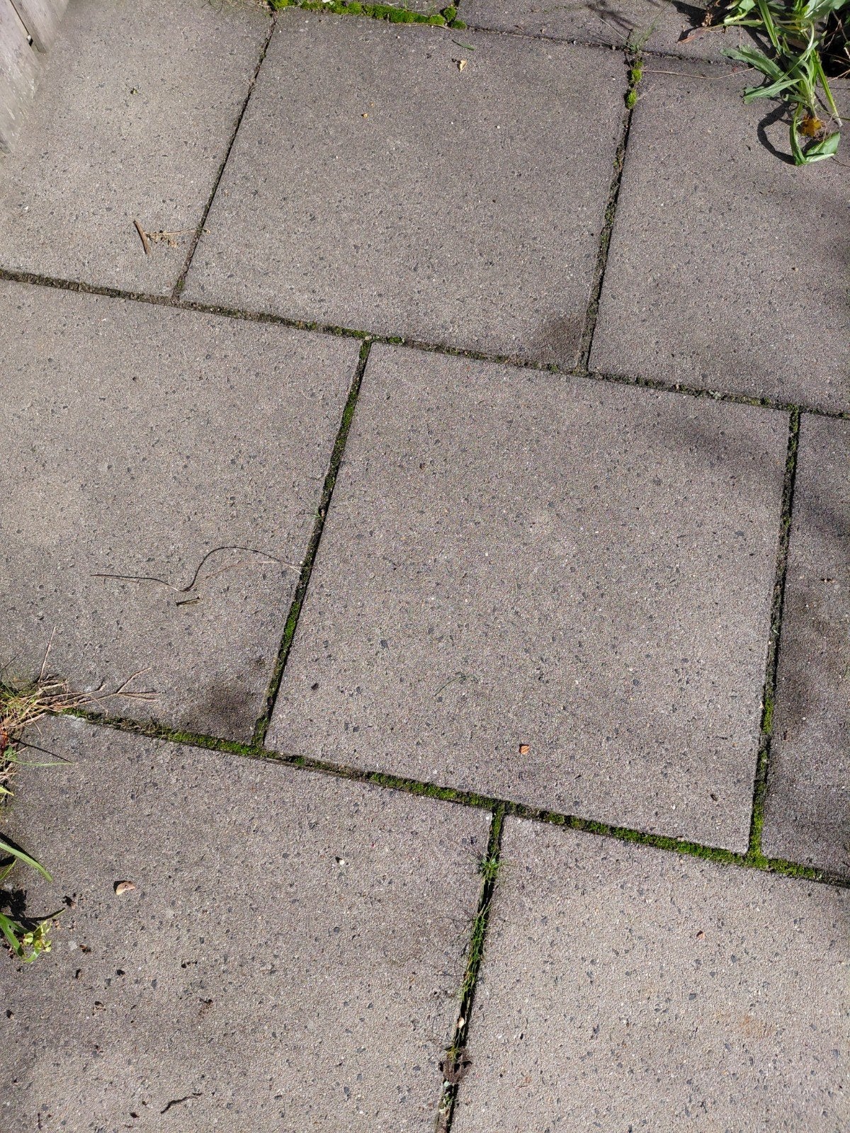 tuintegels, Tuin en Terras, Ophalen, Gebruikt, Minder dan 5 m², Beton