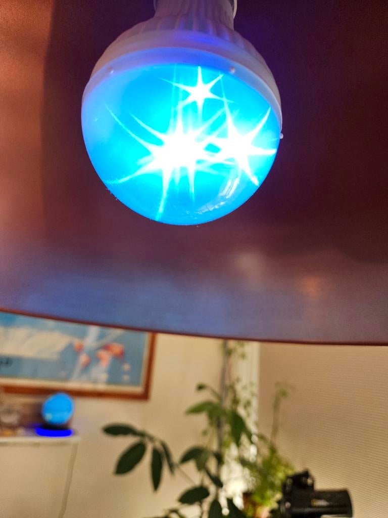 Twinkle Star LED Lamp - Sfeervolle Decoratie, Led-lamp, Minder dan 30 watt, Soft of Flame, Nieuw