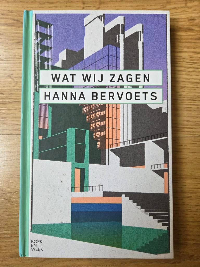 Hanna Bervoets - Wat wij zagen, Boeken, Ophalen of Verzenden, Gelezen, Hanna Bervoets