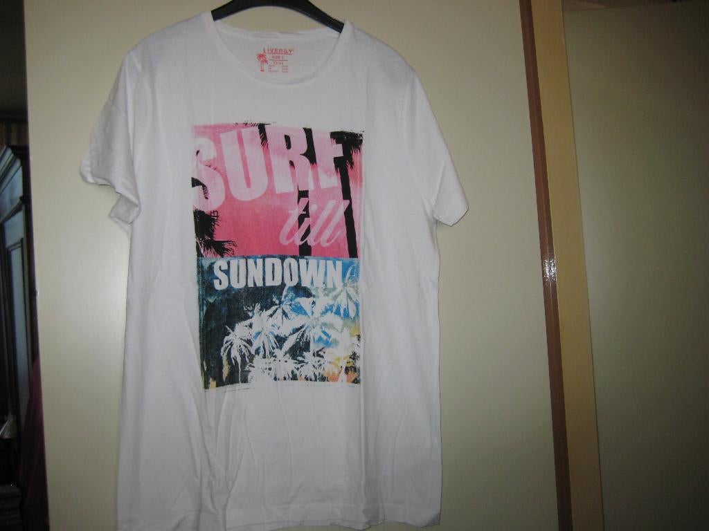 WIt heren-T-shirt, L 52/54, Livergy, Kleding | Heren, T-shirts, Ophalen of Verzenden, Zo goed als nieuw, Maat 52/54 (L), Wit
