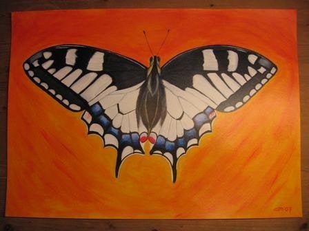 Groot Butterfly / vlinder schilderij 50 x 70 cm, Huis en Inrichting, Ophalen, 50 – 75, Oorspronkelijke maker, Nieuw