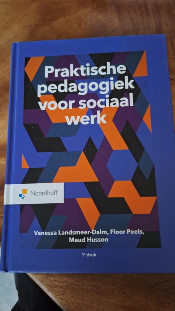 Praktische pedagogiek voor sociaal werk (nieuw), Boeken, Ophalen of Verzenden, Zo goed als nieuw, Vanessa Landsmeer-Dalm; Floor Peels; Maud Husson