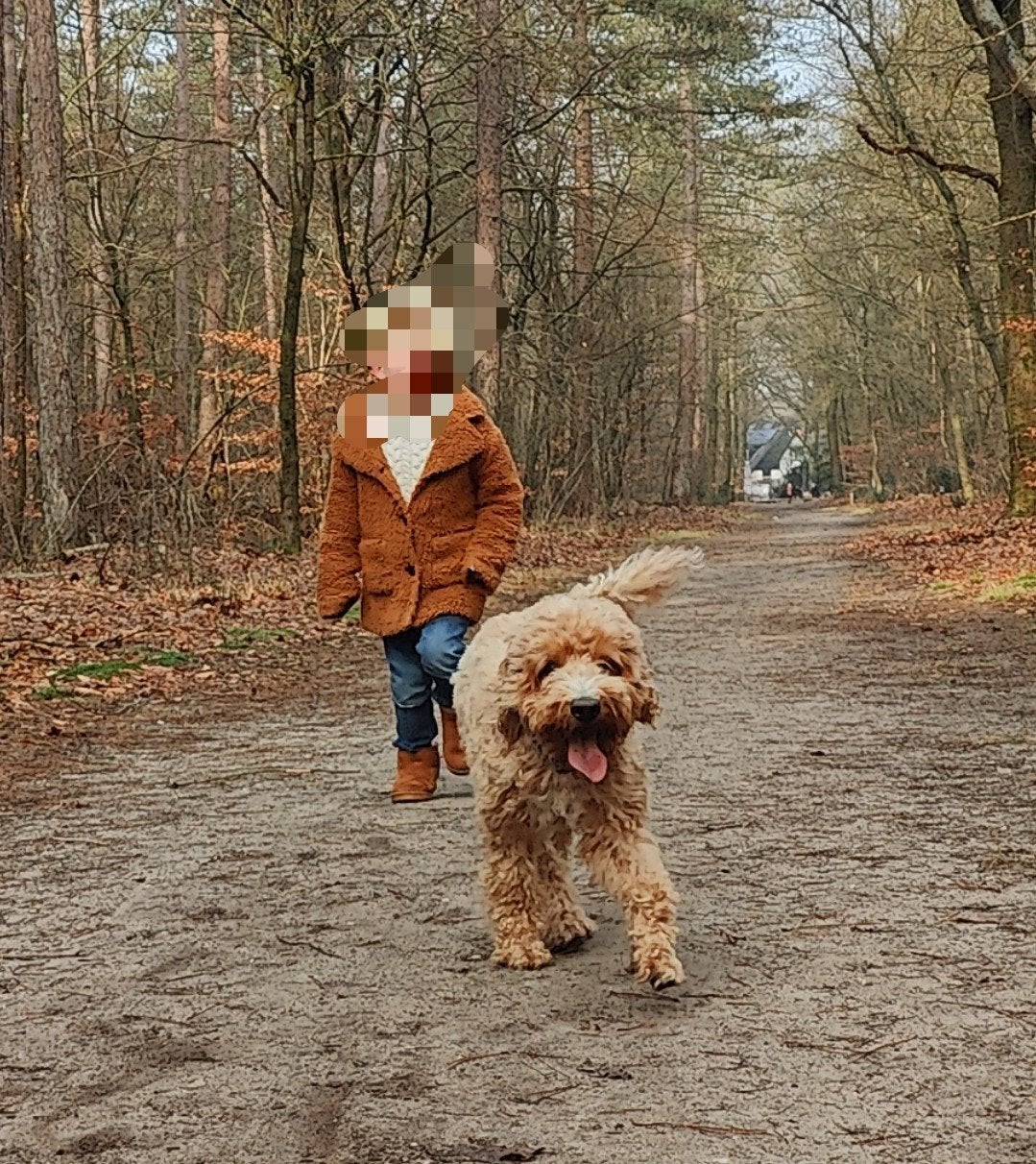 Vakantie opvang voor uw viervoeter