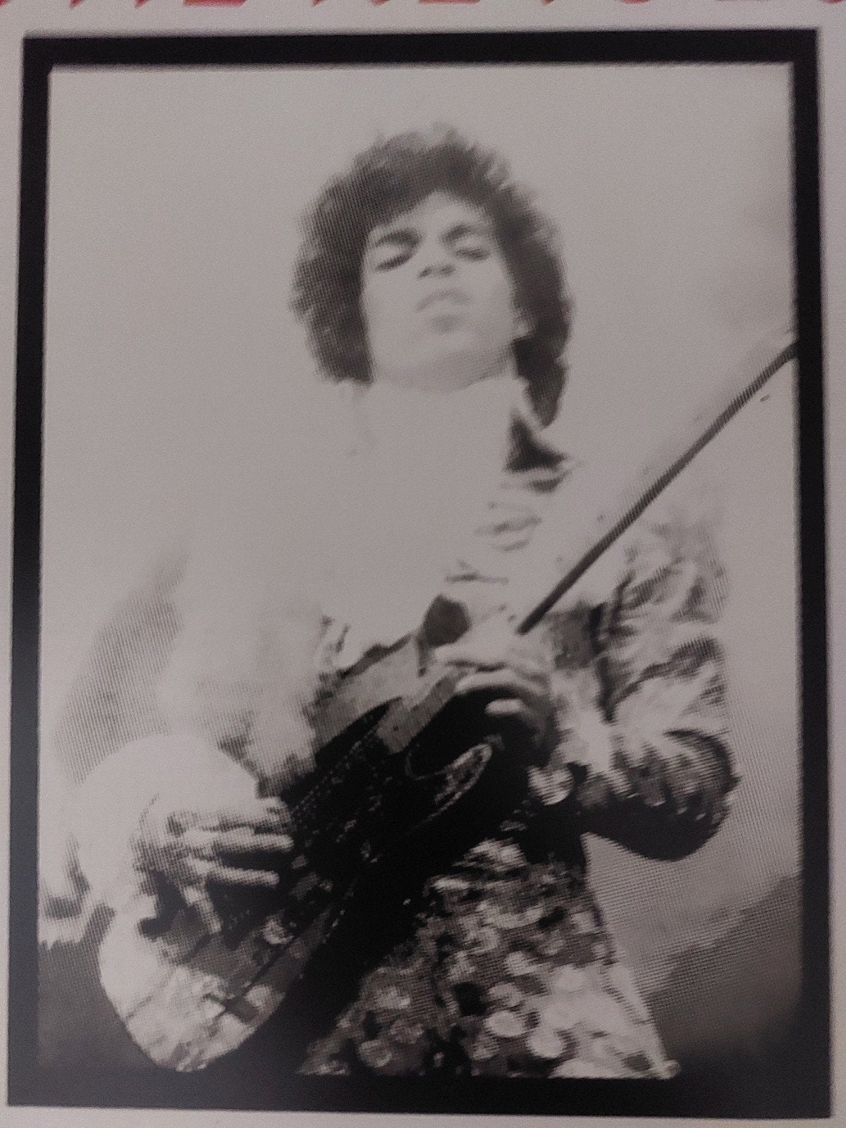Prince and The Revolution Concert- Louisiana Superdome, Ophalen of Verzenden, Gebruikt, Poster, Artwork of Schilderij