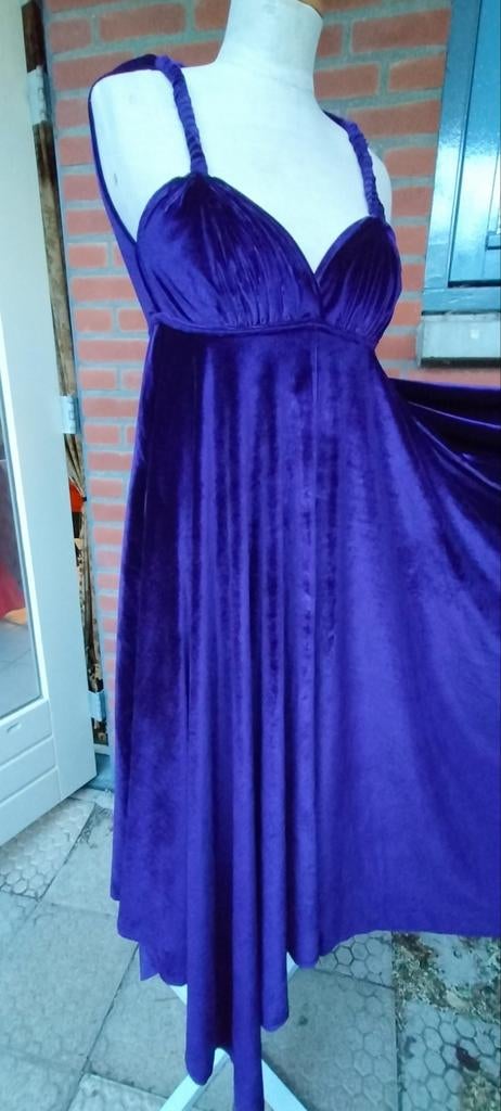 Reinders paarse jurk velours goth maxidress S, Kleding | Dames, Jurken, Reinders, Paars, Nieuw, Ophalen of Verzenden