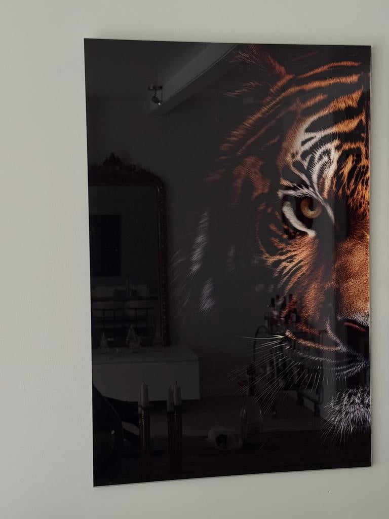 Halve tijgerkop 60x90 op acryl - Nieuw, Ophalen