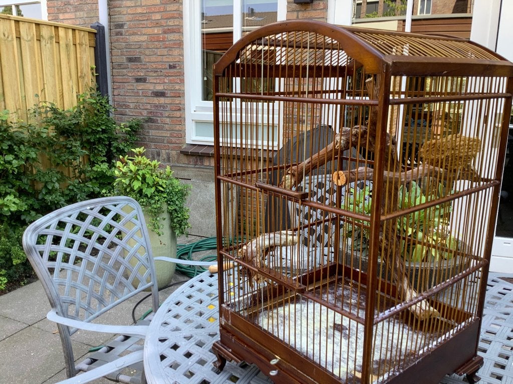 Vogelkooi klassiek, Ophalen, Gebruikt, Hout, Vogelkooi