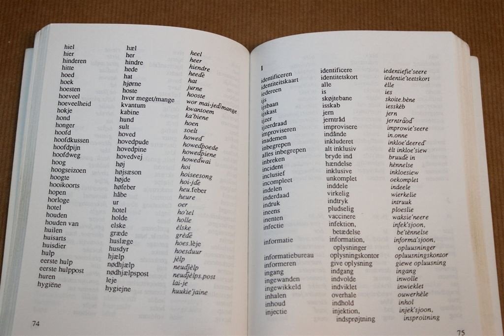 Deens Taalgids voor Vakantie — Rebo op Reis, Europa, Ophalen of Verzenden, Reisgids of -boek, Gelezen