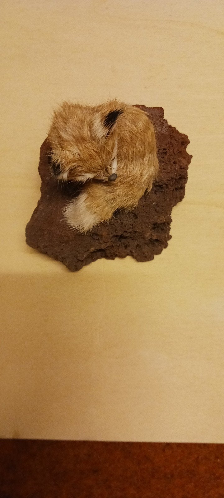 pluizige vos op een rots, Verzamelen, Beelden en Beeldjes, Ophalen of Verzenden, Nieuw, Dier