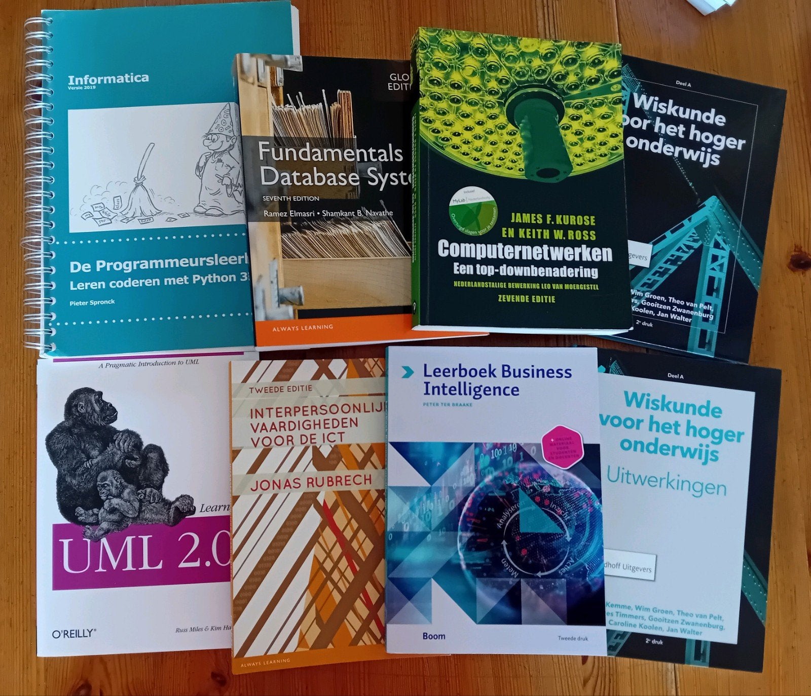 Bachelor Informatica hsleiden jaar 1 HBO boeken, Ophalen of Verzenden, Gelezen, Overige onderwerpen