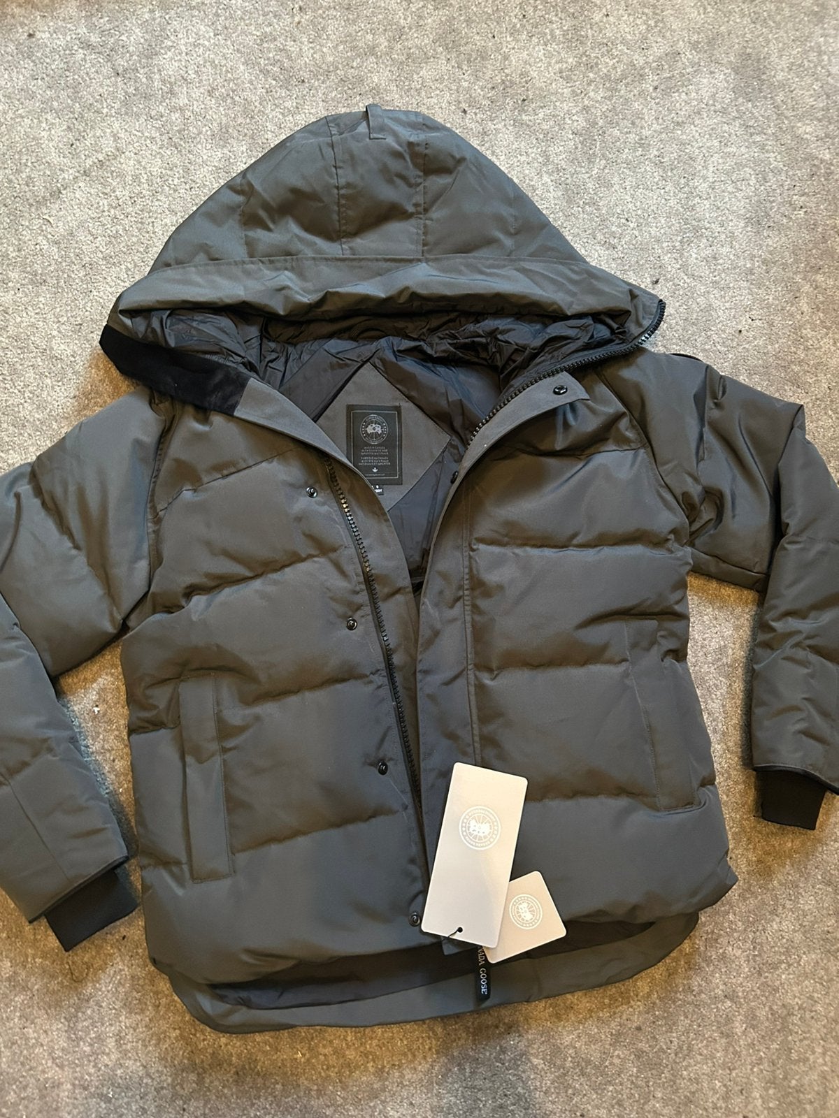 Canada goose macmillan maat M/L grijs nieuw met kaartjes, Ophalen of Verzenden, Nieuw, Maat 48/50 (M), Grijs
