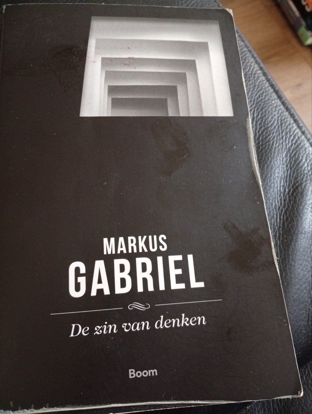 Markus Gabriel - De zin van denken, Ophalen of Verzenden, Zo goed als nieuw, Markus Gabriel