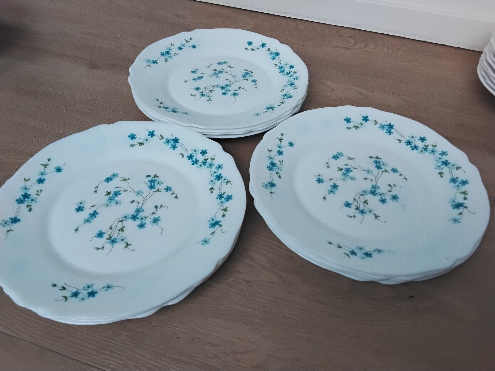 Vintage Arcopal dinerborden, vergeetmenietjes, per stuk, Ophalen of Verzenden, Bord(en), Overige stijlen, Glas