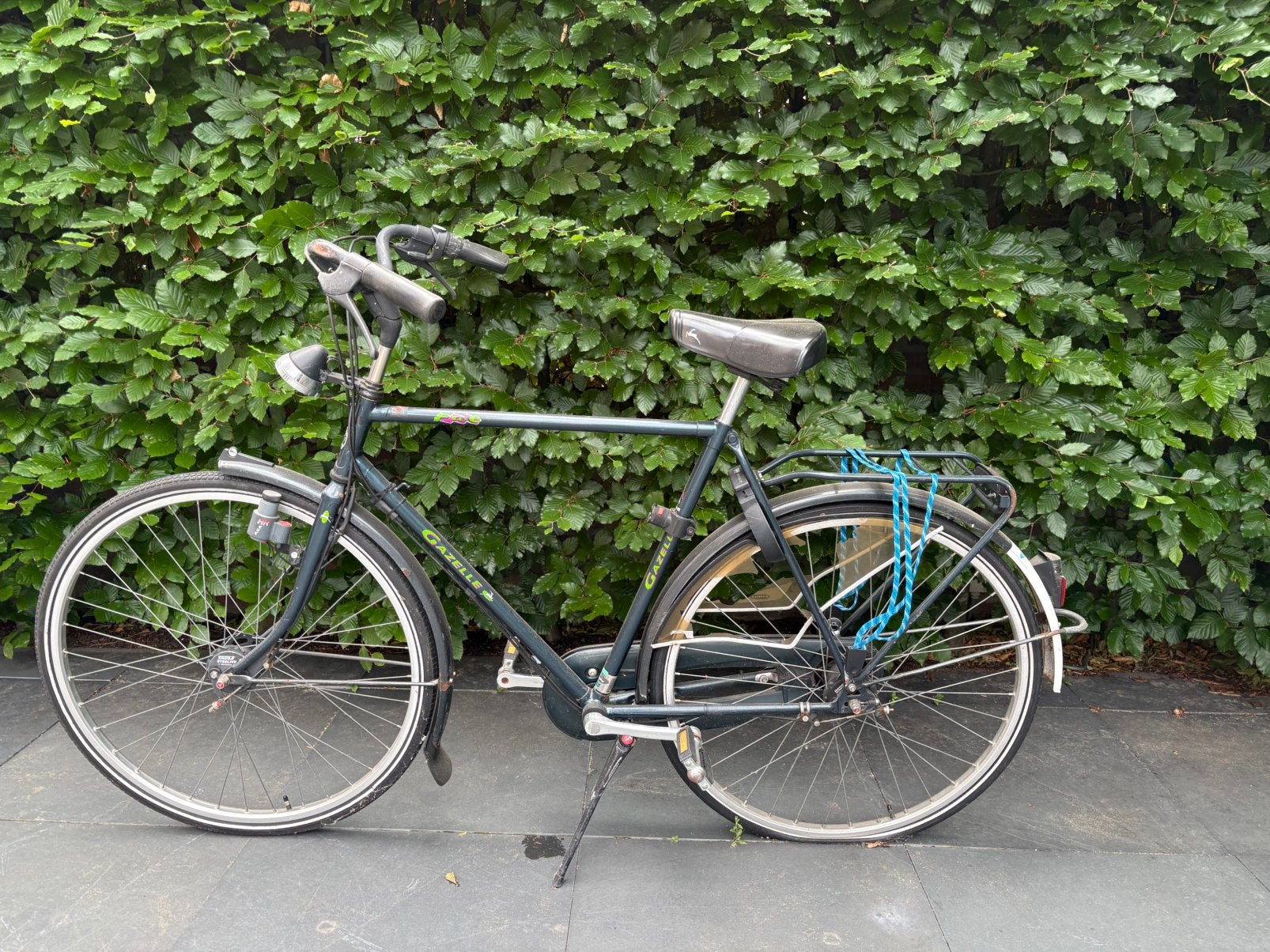 Gazelle Free opknappertje, Ophalen, Gebruikt, Gazelle