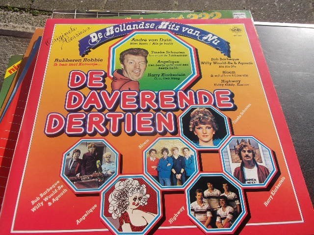 hollandse hits, Inclusief binnenhoes, Ophalen of Verzenden, Zo goed als nieuw, Overige formaten