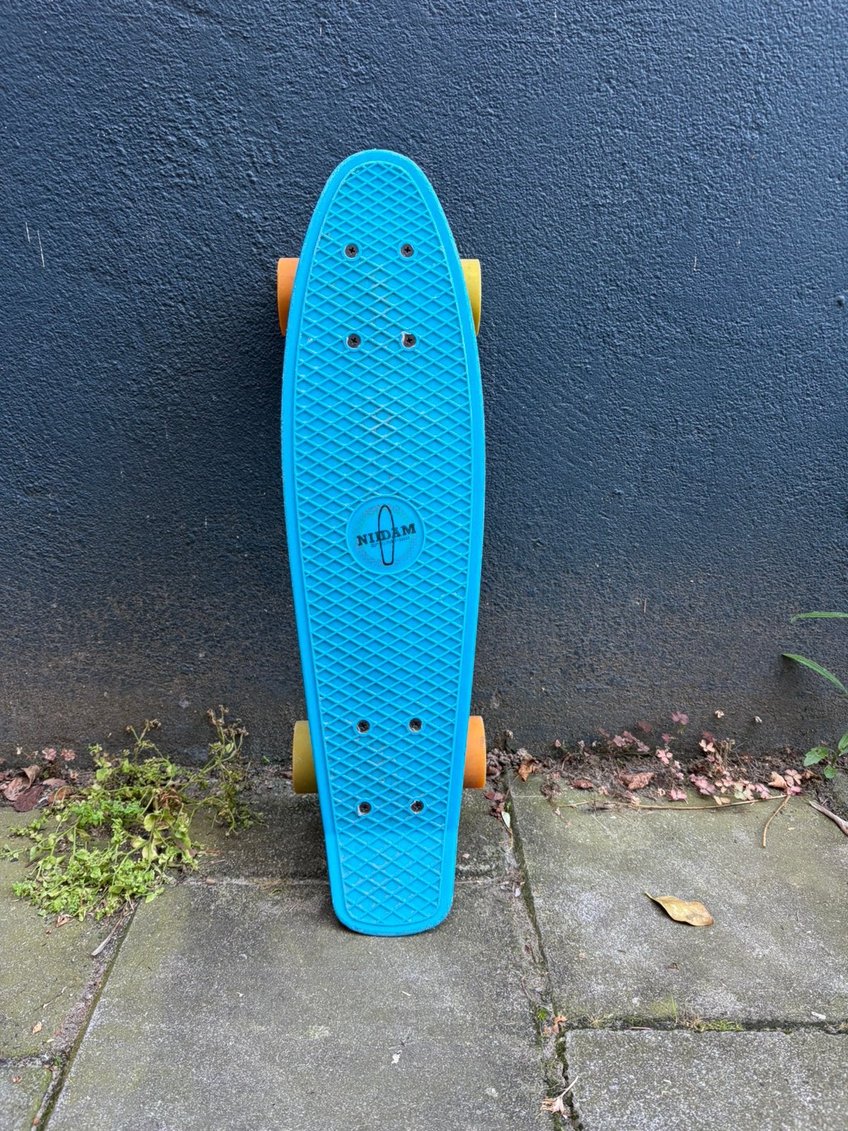 Penny board, Sport en Fitness, Skateboarden, Ophalen, Gebruikt, Skateboard