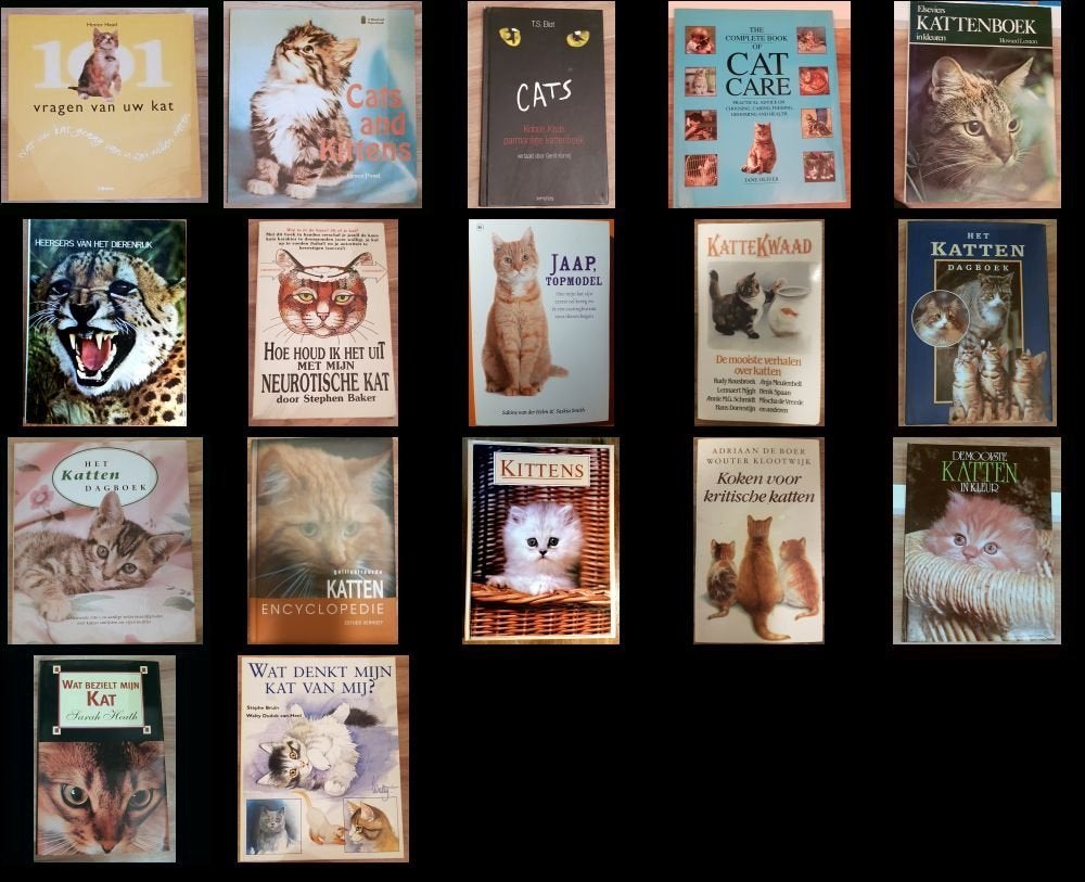 BOEKEN - kat - KATTEN, Ophalen, Gelezen, Verschillende onderwerpen