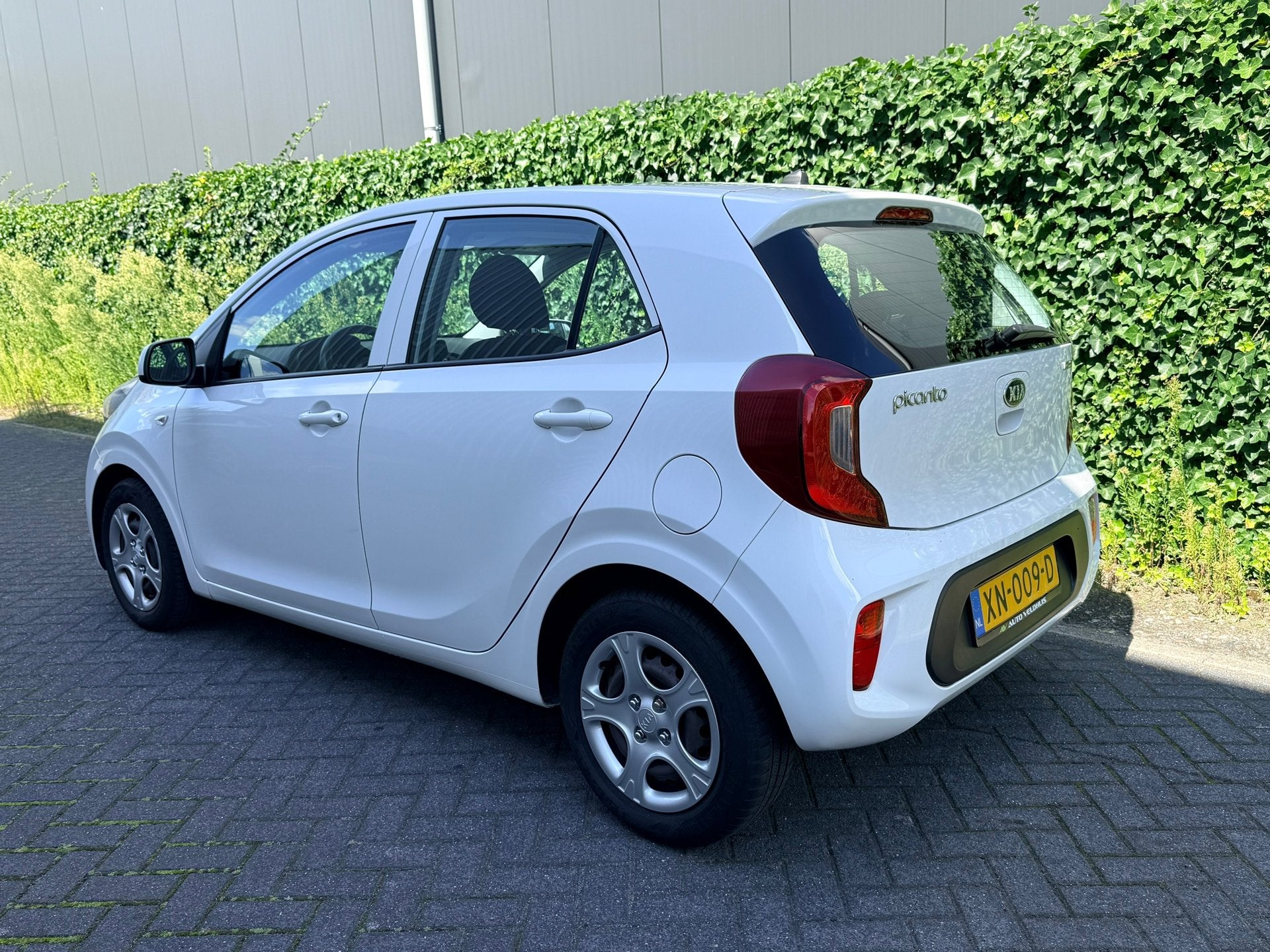 Kia Picanto 1.0 MPi EconomyLine 67PK 2019 | 117DKM NAP | APK, Auto's, Voorwielaandrijving, Dealer onderhouden, Stof, Gebruikt