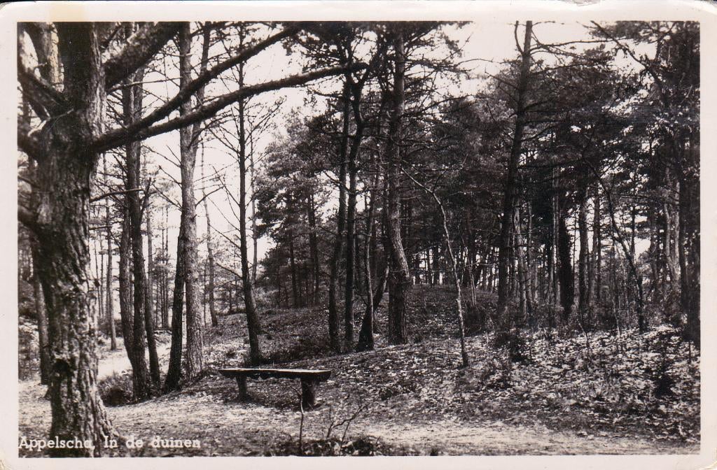 08046 Appelscha - In de duinen, Verzamelen, Ansichtkaarten | Nederland, Gelopen, Friesland, 1940 tot 1960, Verzenden