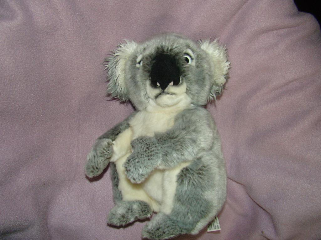 Keel Toys koala beer 28 cm groot erg mooi, Kinderen en Baby's, Speelgoed | Knuffels en Pluche, Overige merken, Overige karakters