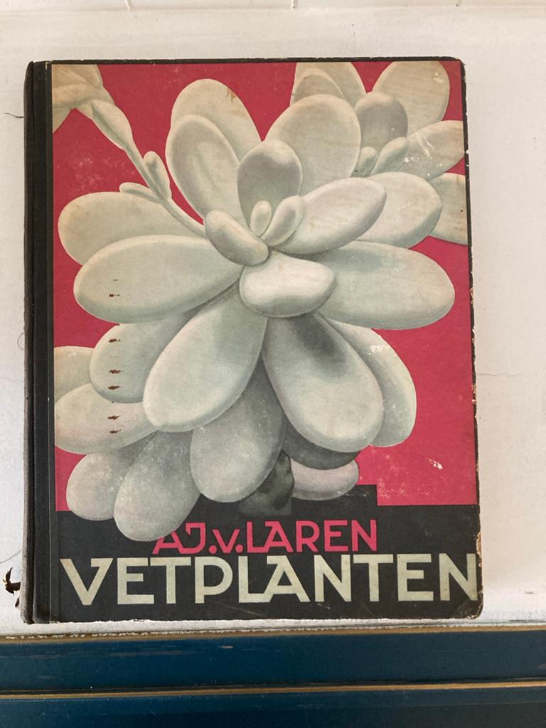 Vintage Boek: A.J.V. Laren - Vetplanten (Geïllustreerd), Boeken, Natuur, Ophalen of Verzenden, Gelezen, Bloemen, Planten en Bomen