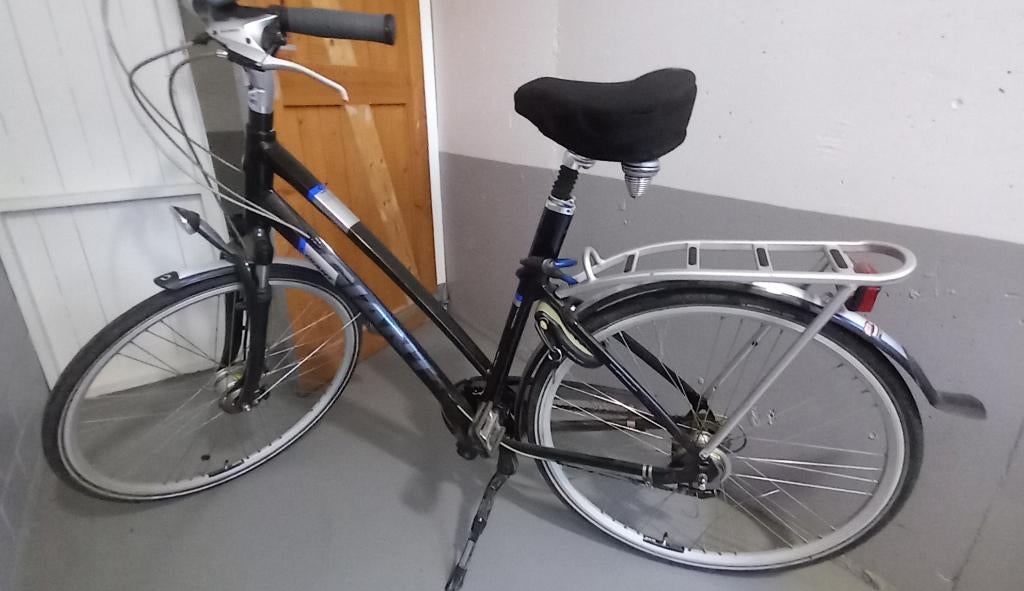 Damesfiets Giant zwart/rvs, Ophalen, Gebruikt, Giant, Versnellingen