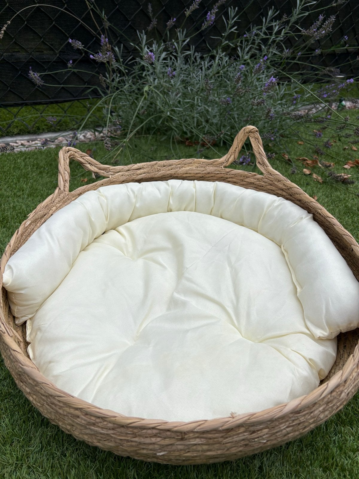 Kattenmand / mand voor kleine hondenrassen - nieuw - rotan, Dieren en Toebehoren, Ophalen, Nieuw, Riet