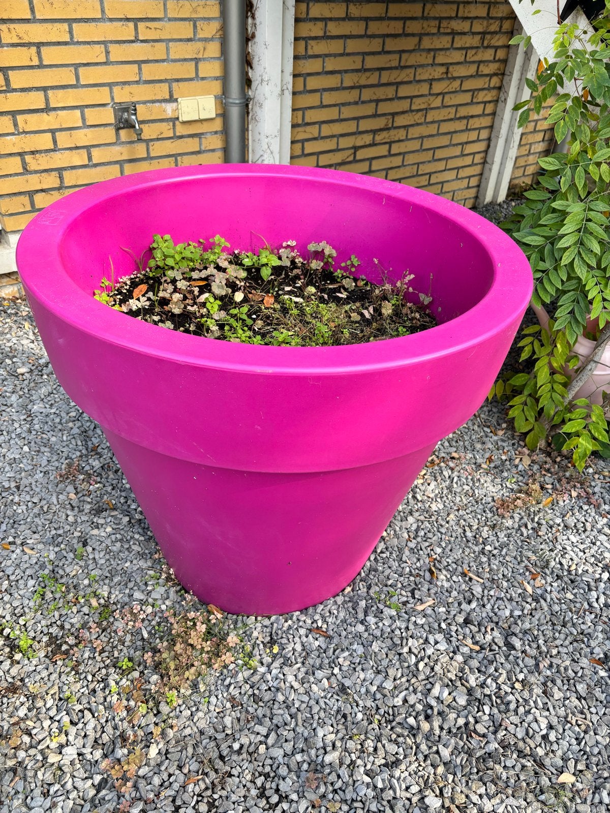 Grote ELHO Pure Round 80 plantenpot fuchsia/roze, Ophalen, Kunststof, Gebruikt, Rond