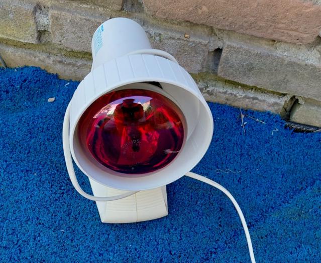 Infrarood lamp, Ophalen of Verzenden, Zo goed als nieuw, Overige typen