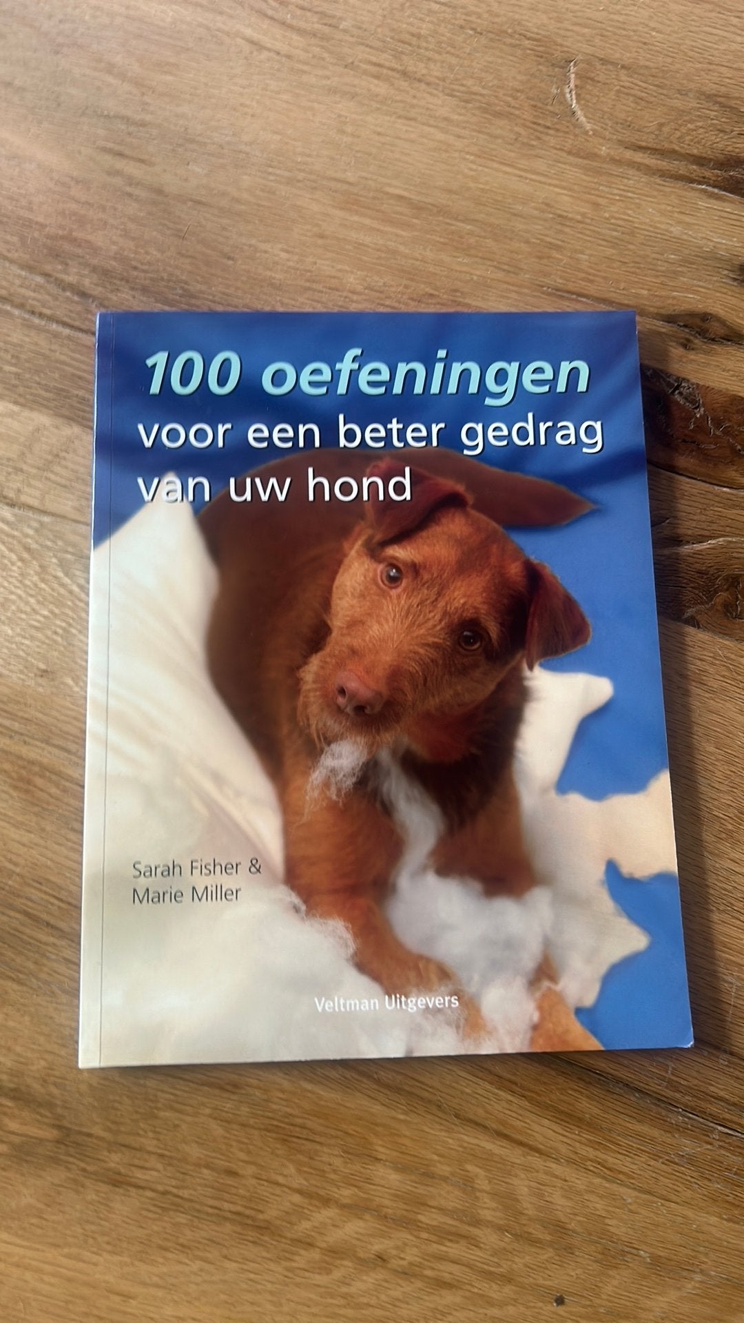 100 oefeningen voor een beter gedrag van uw hond, Ophalen of Verzenden, Sarah Fisher; Marie Miller, Paarden of Pony's