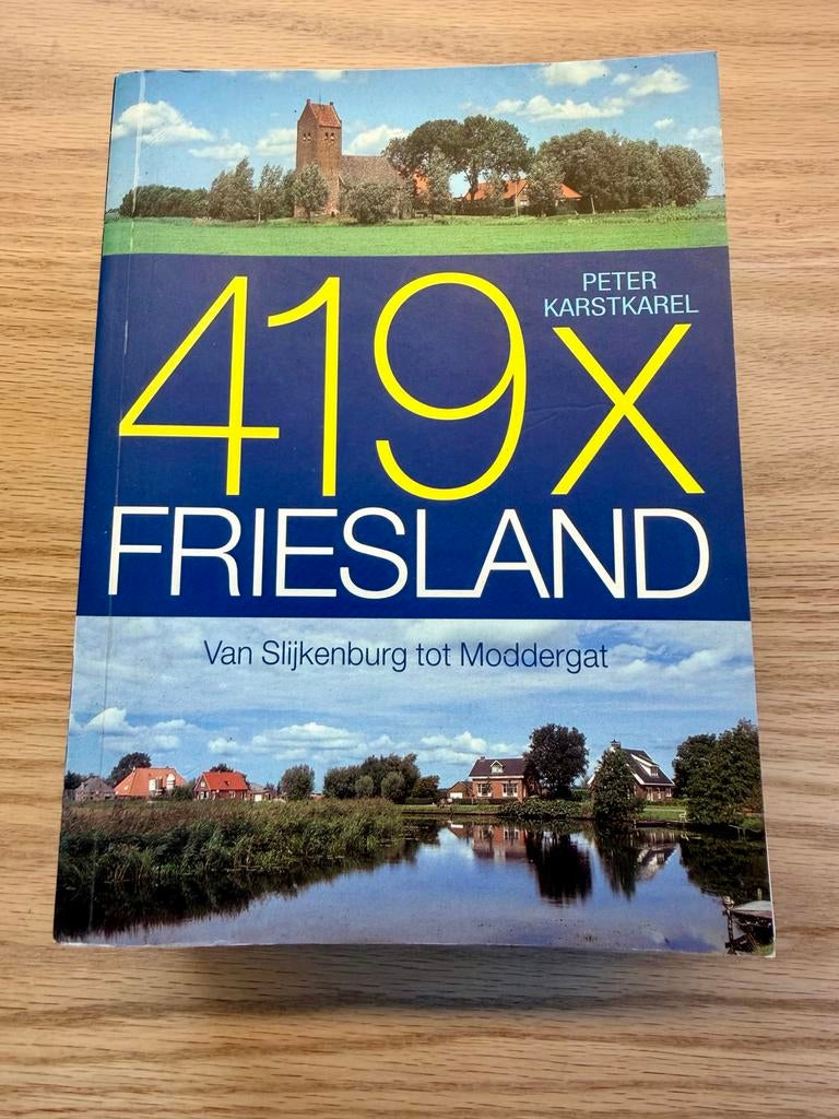 Boek 419X Friesland - Van Slijkenburg tot Moddergat, Boeken, Ophalen of Verzenden, 20e eeuw of later, Gelezen