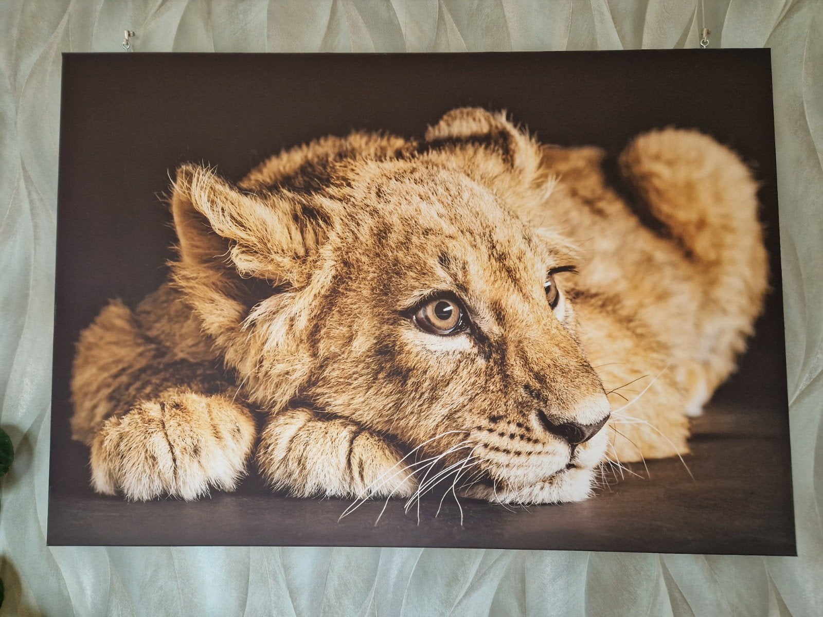 schilderij canvas van leeuwen welpje, Huis en Inrichting, Woonaccessoires | Schilderijen, Tekeningen en Foto's, Ophalen, Zo goed als nieuw
