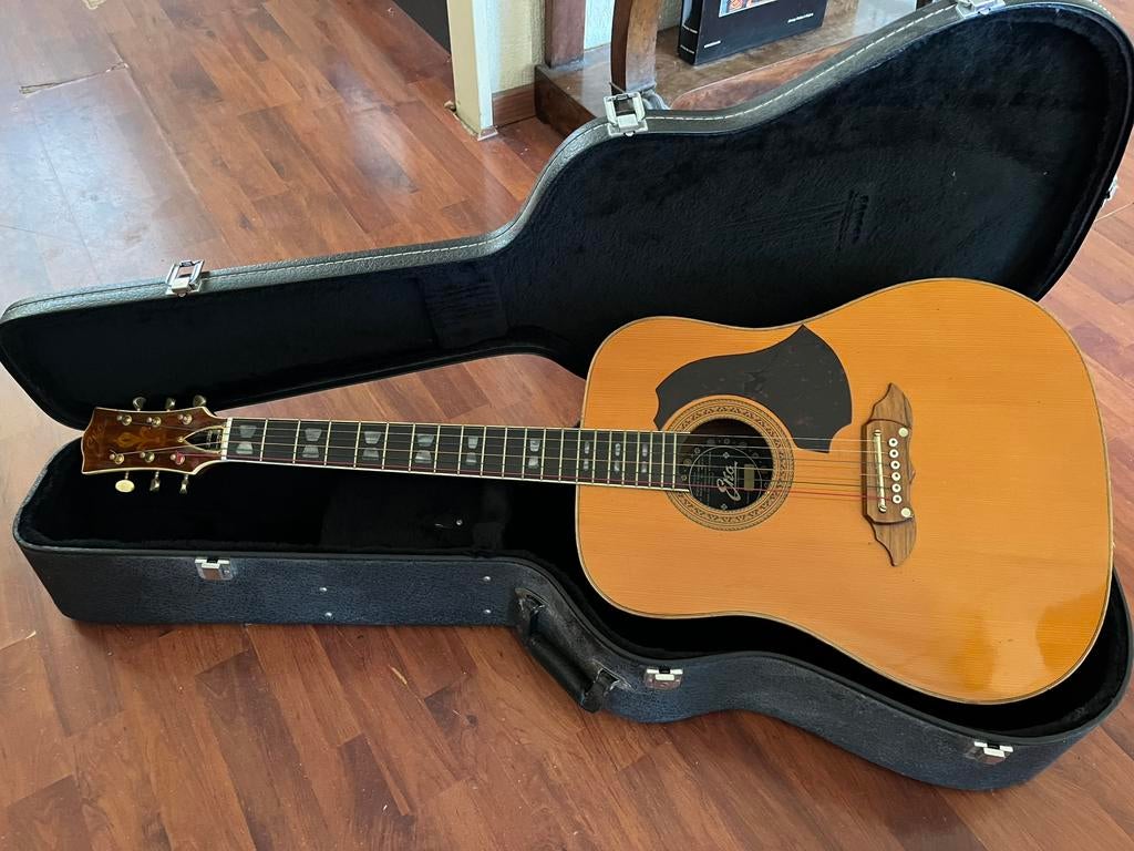 Mooie vintage Eko luxe model gitaar, Muziek en Instrumenten, Ophalen, Zo goed als nieuw, Western- of Steelstringgitaar