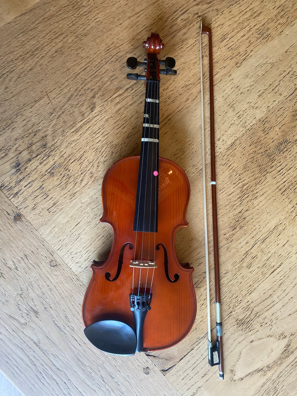 Zwisterse Viool, Muziek en Instrumenten, Ophalen of Verzenden, Zo goed als nieuw, 4/4-viool