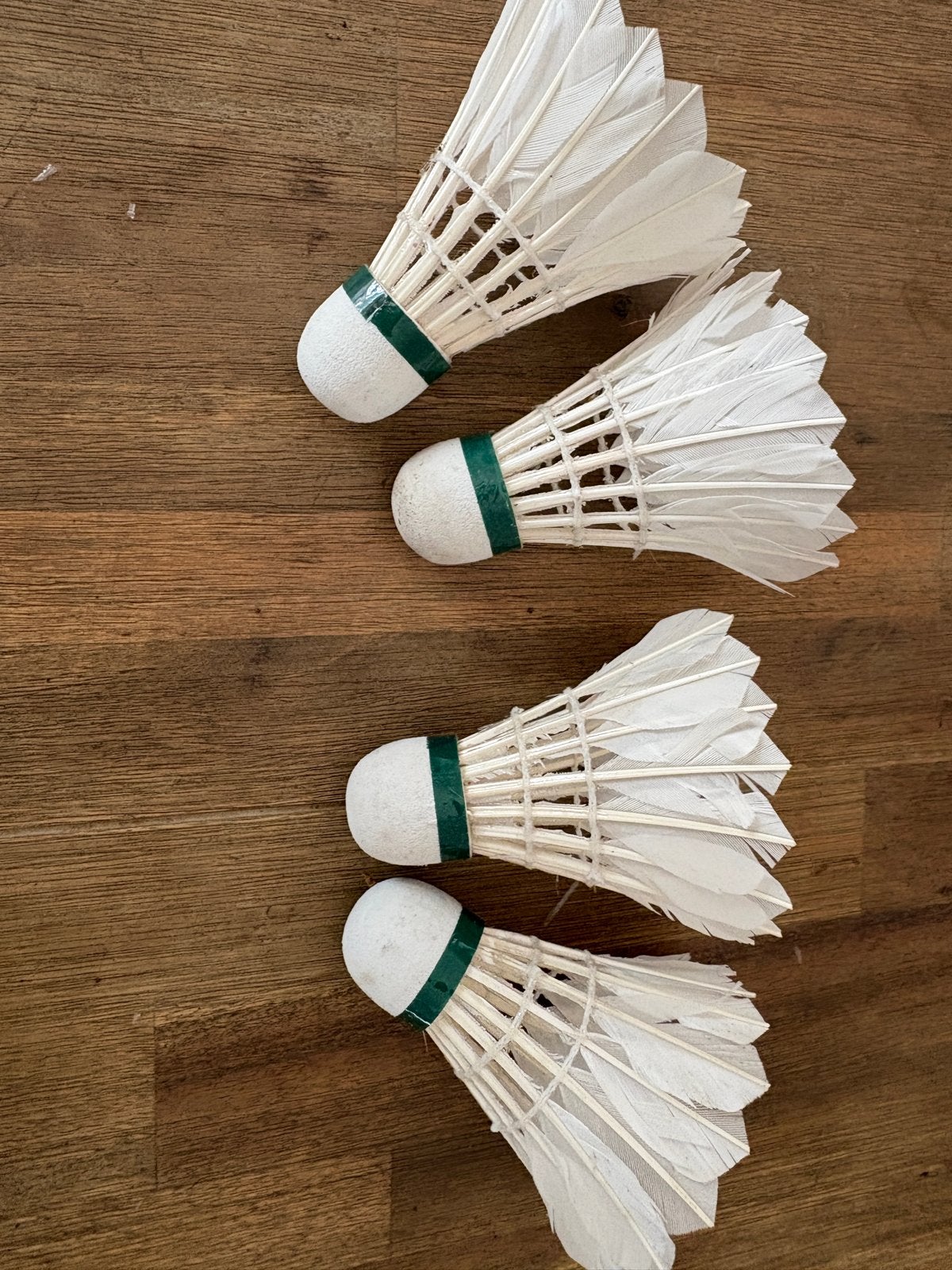 Badminton shuttles - Angel Sports, Sport en Fitness, Badminton, Ophalen of Verzenden, Gebruikt, Overige typen